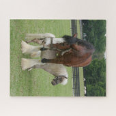 Clydesdale Stehend über Miniatur-Pony Puzzle (Horizontal)