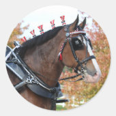 Clydesdale Sticker (Vorderseite)