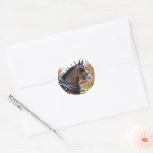 Clydesdale Sticker (Umschlag)