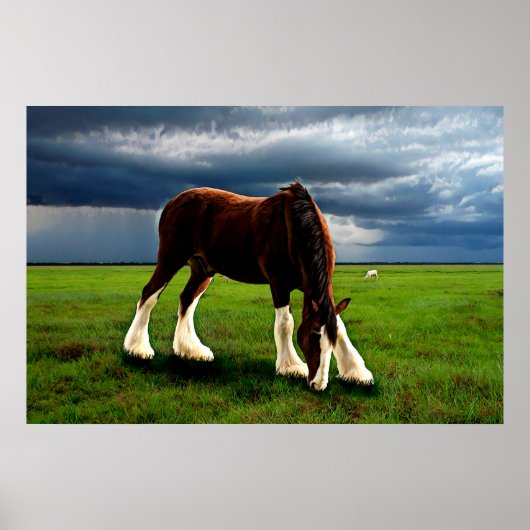 Clydesdale Storm Poster (Vorne)