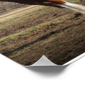 Clydesdale-Stuhl Print Poster (Ecke)