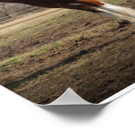 Clydesdale-Stuhl Print Poster (Ecke)