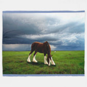 Clydesdale Sturm Fleecedecke (Vorderseite (Horizontal))