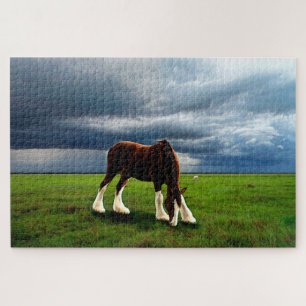 Clydesdale Sturm Puzzle