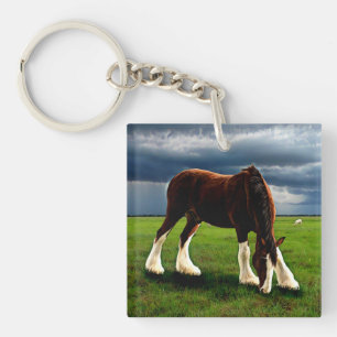 Clydesdale Sturm Schlüsselanhänger