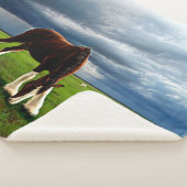 Clydesdale Sturm Sherpadecke (3/4)