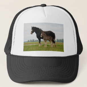 clydesdale Stute und Stutenfohlen Truckerkappe