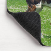 Clydesdale Stutenfohlen mousepad (Ecke)