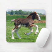 Clydesdale Stutenfohlen mousepad (Mit Mouse)