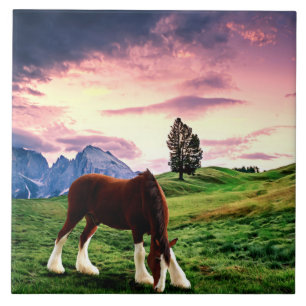 Clydesdale Sunset Fliese