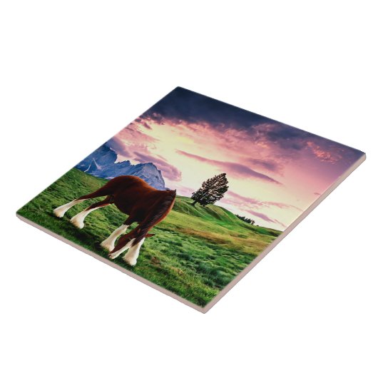 Clydesdale Sunset Fliese (Seite)