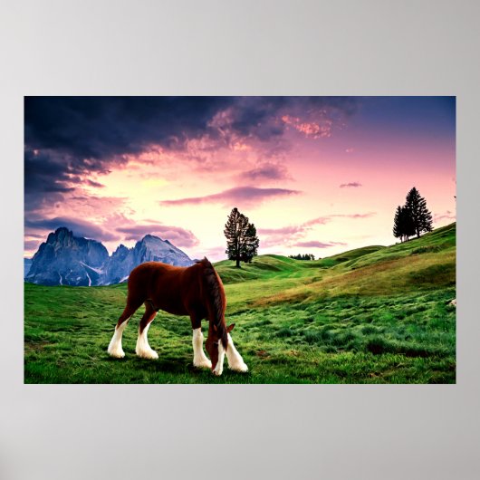 Clydesdale Sunset Poster (Vorne)