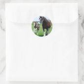 Clydesdale und Filly Runder Aufkleber (Tasche)