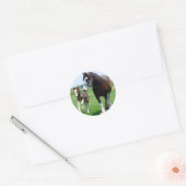 Clydesdale und Filly Runder Aufkleber (Umschlag)