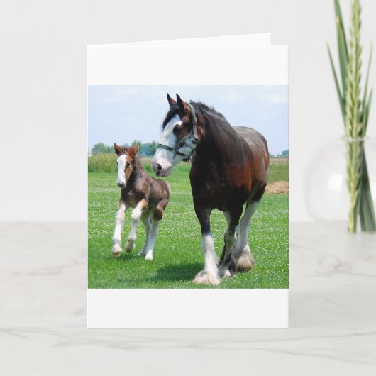 Clydesdale und Stutenfohlen Karte (Vorderseite)