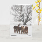 Clydesdale Weihnachten Karte (Gelbe Blume)