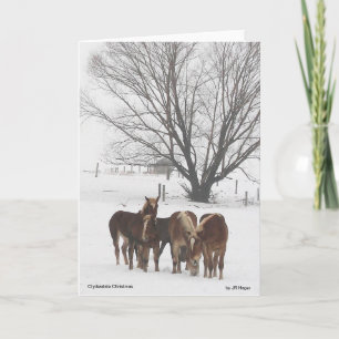Clydesdale Weihnachten Karte