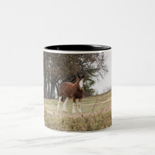Clydesdale Zweifarbige Tasse