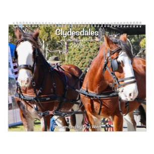 Clydesdales & andere Rassen von schweren Pferden 2 Kalender