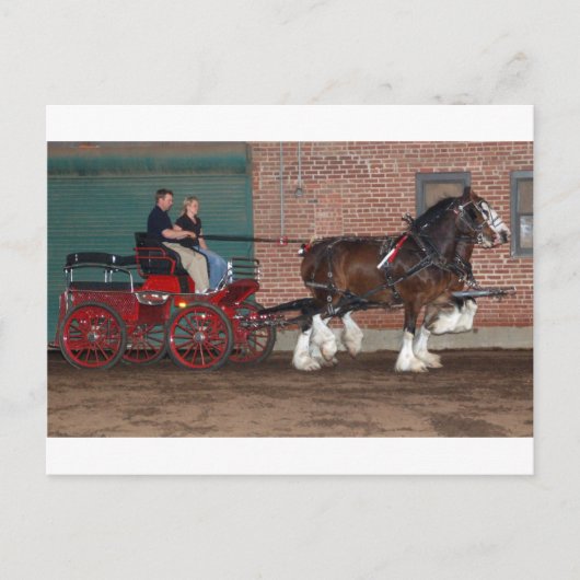 Clydesdales-Karren Postkarte (Vorderseite)