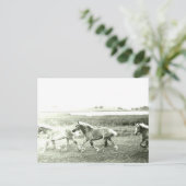 Clydesdales Postkarte (Stehend Vorderseite)