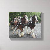 Clydesdales Pulling Carriage Leinwanddruck (Vorderseite)