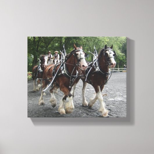 Clydesdales Pulling Carriage Leinwanddruck (Vorderseite)