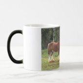 Clydesdales Tasse (Links)