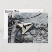 Clymene Moth Postkarte (Vorne/Hinten)