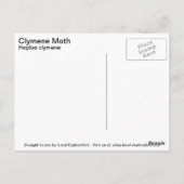 Clymene Moth Postkarte (Rückseite)