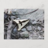 Clymene Moth Postkarte (Vorderseite)