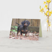 Cm - "wir verfehlen Sie" Dackelkarte Karte (Gelbe Blume)