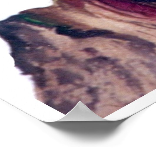 CMCarlson Cherry Blossom Poster (Ecke)