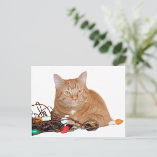 Cmine Weihnachtsbeleuchtung Postkarte (Stehend Vorderseite)