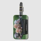 CMVFD Schweine in einem Hutbeutel Gepäckanhänger (Vorderseite Vertikal)