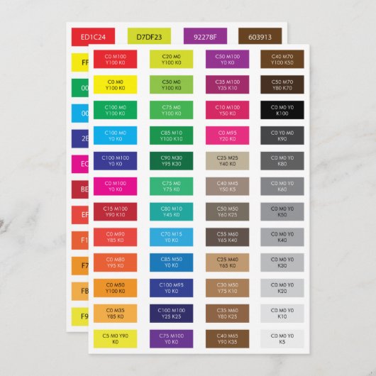 CMYK- und Hex-Code-Farbbeispiele (Vorne/Hinten)