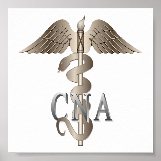 CNA Caduceus Poster (Vorne)