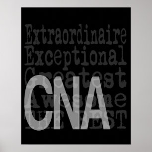 CNA Extraordinator Poster