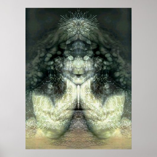 Cnidarian-Effekt 1 Poster (Vorne)