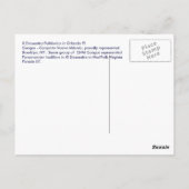 CNM Panamanian Congos Postkarte (Rückseite)