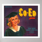 Co-Ed-Markenzeichen Citrus-Label Poster (Vorne)