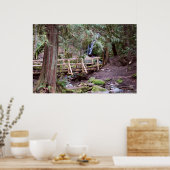 Coal Creek Falls Walking Bridge Print Poster (Küche)