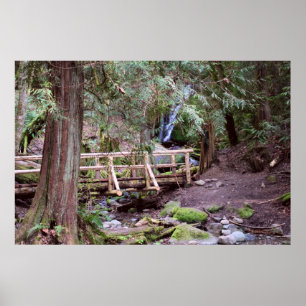Coal Creek Falls Walking Bridge Print Poster
