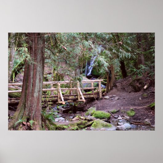 Coal Creek Falls Walking Bridge Print Poster (Vorne)