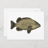 Coal Grunter Postkarte (Vorne/Hinten)