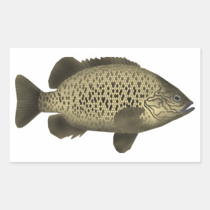 Coal Grunter Rechteckiger Aufkleber