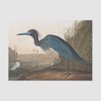 coastal Audobon blue heron Tissue Paper Seidenpapier
