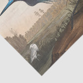 coastal Audobon blue heron Tissue Paper Seidenpapier (Ausschnitt)