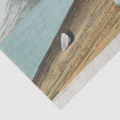 coastal audobon sanderling gulls tissue paper seidenpapier (Ausschnitt)