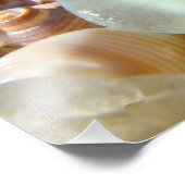 Coastal Beach Seaglass Fotografien Fotodruck (Ecke)